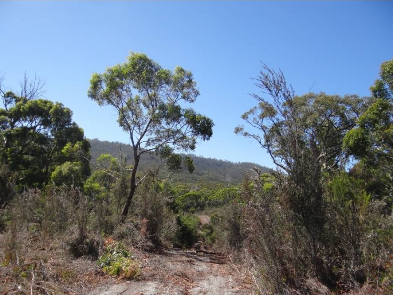 Lot 1 Roaring Beach Road, Nubeena TAS 7184