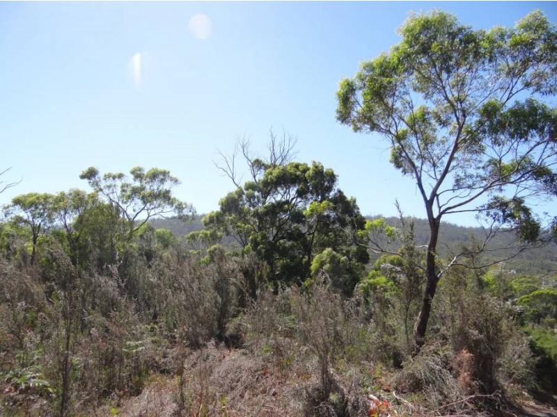 Lot 1 Roaring Beach Road, Nubeena TAS 7184