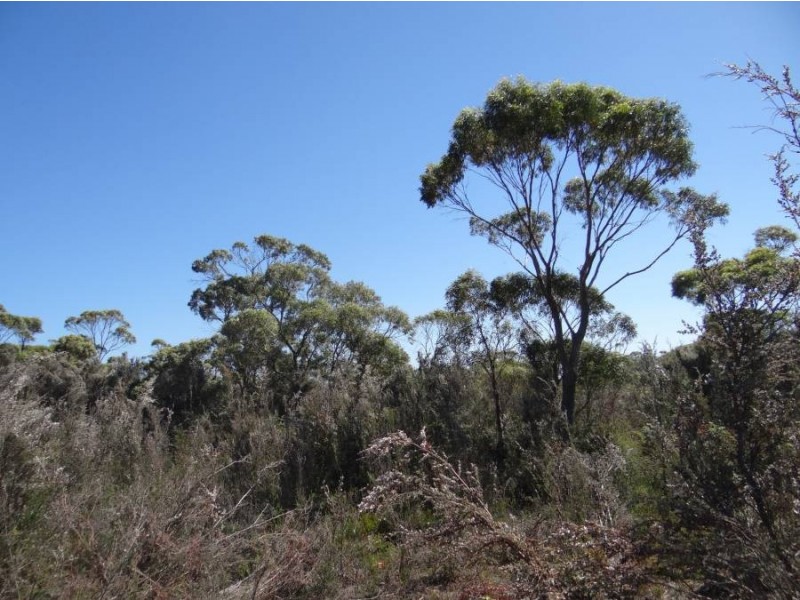 Lot 1 Roaring Beach Road, Nubeena TAS 7184