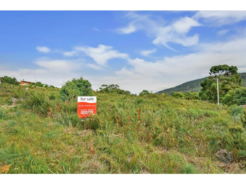 Lot 1 Ferntree Road, Eaglehawk Neck TAS 7179