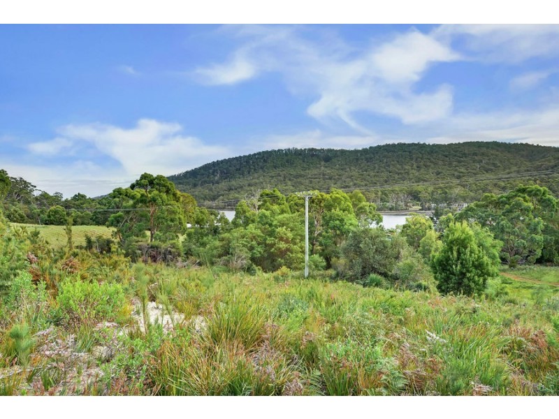 Lot 1 Ferntree Road, Eaglehawk Neck TAS 7179