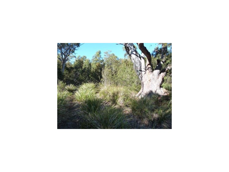 Lot 3 Skeggs Avenue, White Beach TAS 7184
