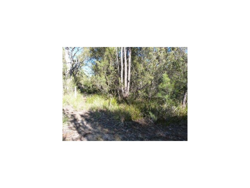 Lot 3 Skeggs Avenue, White Beach TAS 7184