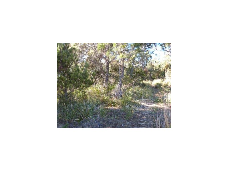 Lot 3 Skeggs Avenue, White Beach TAS 7184