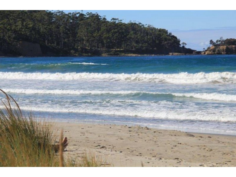 441 Pirates Bay Drive, Eaglehawk Neck TAS 7179