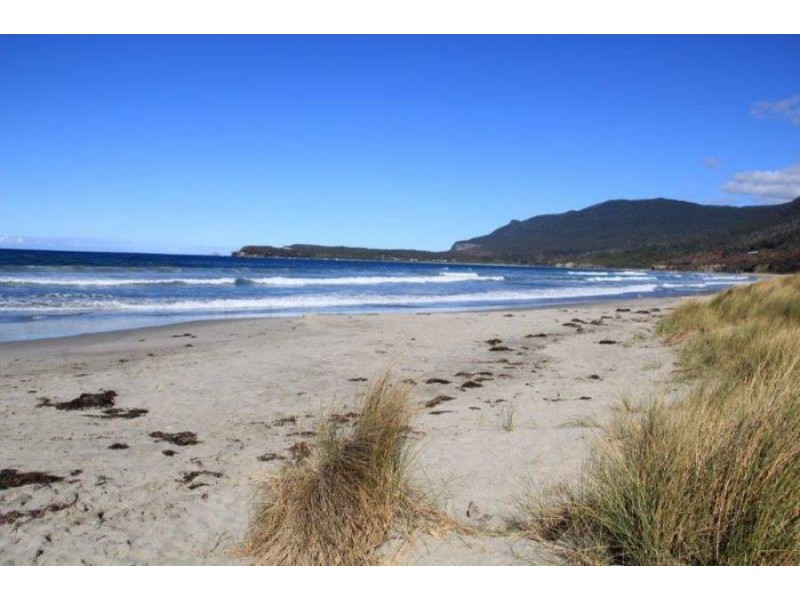 441 Pirates Bay Drive, Eaglehawk Neck TAS 7179