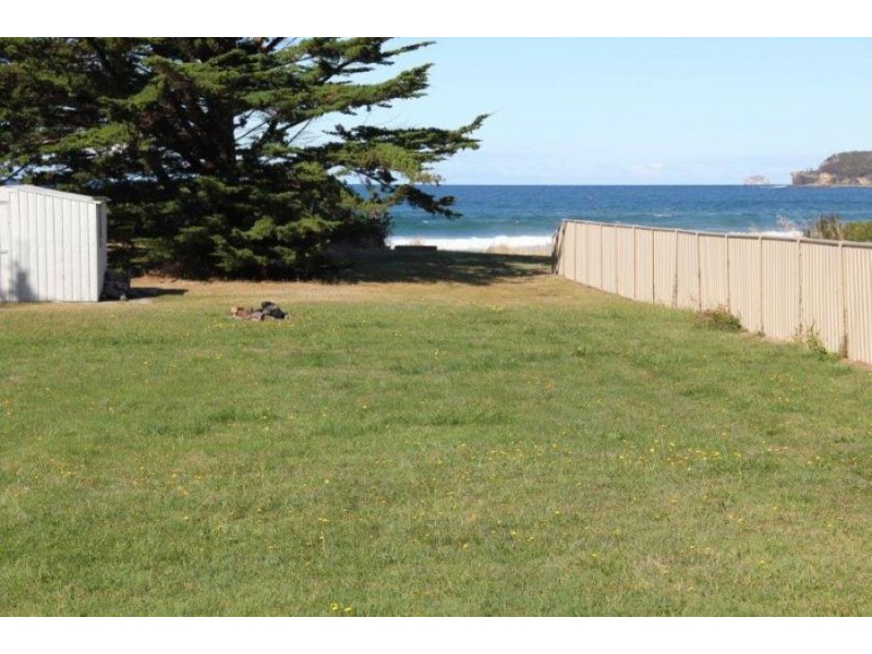 441 Pirates Bay Drive, Eaglehawk Neck TAS 7179