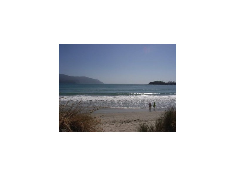 Lot 8 214 Blowhole Road, Eaglehawk Neck TAS 7179