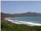 Lot 8 214 Blowhole Road, Eaglehawk Neck TAS 7179