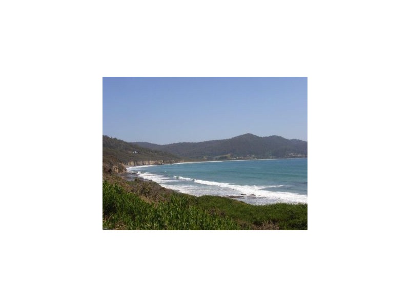 Lot 8 214 Blowhole Road, Eaglehawk Neck TAS 7179