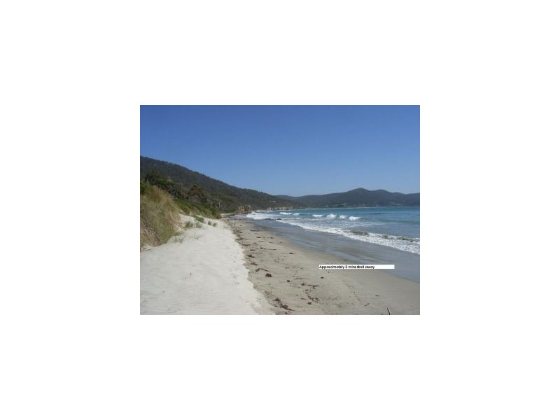 Lot 8 214 Blowhole Road, Eaglehawk Neck TAS 7179