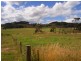 Lot 2 Marion Bay Road, Copping TAS 7174