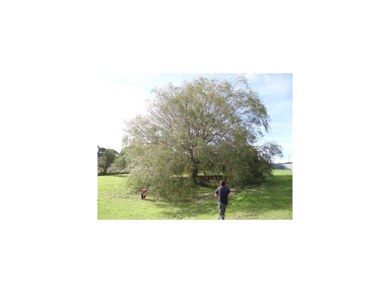 Lot 1 Main Road, Nubeena TAS 7184