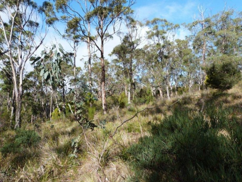 565 White Beach Road, White Beach TAS 7184