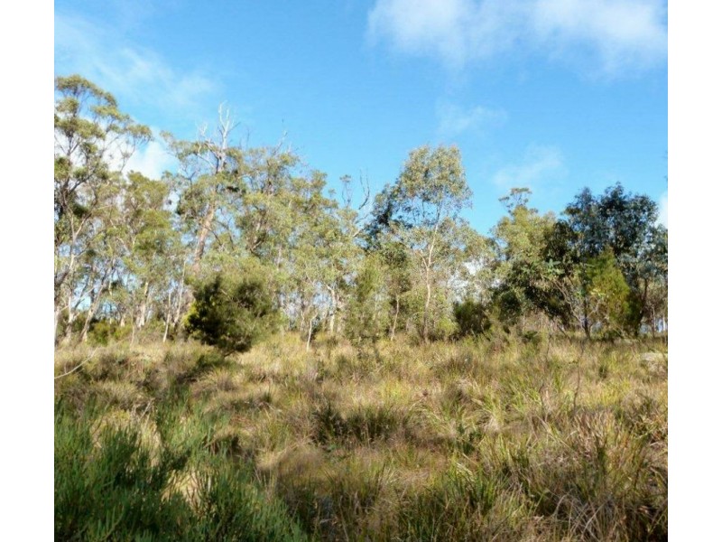 565 White Beach Road, White Beach TAS 7184