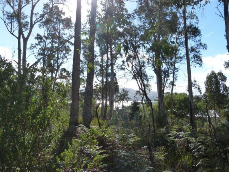 565 White Beach Road, White Beach TAS 7184
