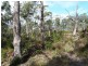 565 White Beach Road, White Beach TAS 7184