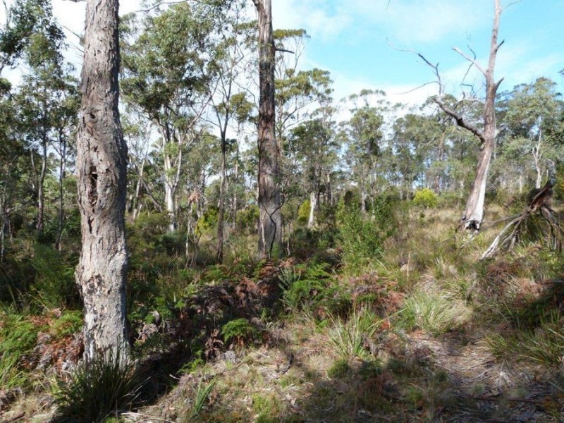 565 White Beach Road, White Beach TAS 7184