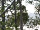 565 White Beach Road, White Beach TAS 7184