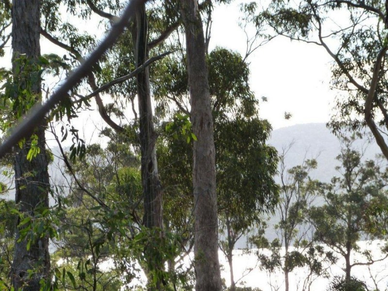 565 White Beach Road, White Beach TAS 7184