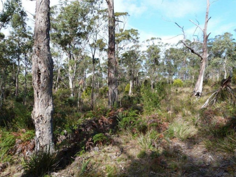 565 White Beach Road, White Beach TAS 7184