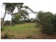 4 Wattle Road, Dodges Ferry TAS 7173