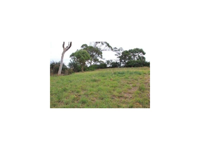 4 Wattle Road, Dodges Ferry TAS 7173