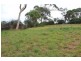 4 Wattle Road, Dodges Ferry TAS 7173