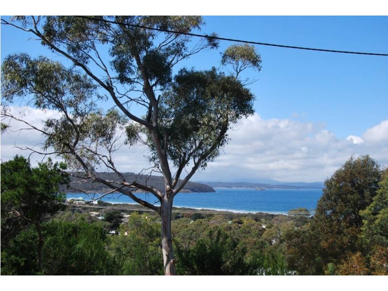 6 Wattle Road, Dodges Ferry TAS 7173