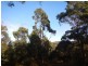 Lot 2 Arthur Highway, Taranna TAS 7180