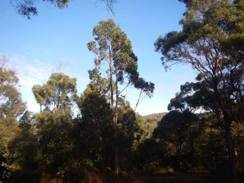Lot 2 Arthur Highway, Taranna TAS 7180