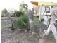 531 White Beach Road, White Beach TAS 7184