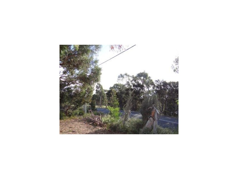 531 White Beach Road, White Beach TAS 7184