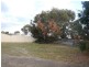 563 Marion Bay Road, Marion Bay TAS 7175