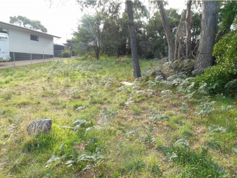 8 Erle Street West, Carlton River TAS 7173