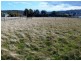 31 Colleen Crescent, Primrose Sands TAS 7173