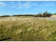 31 Colleen Crescent, Primrose Sands TAS 7173