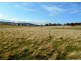 31 Colleen Crescent, Primrose Sands TAS 7173