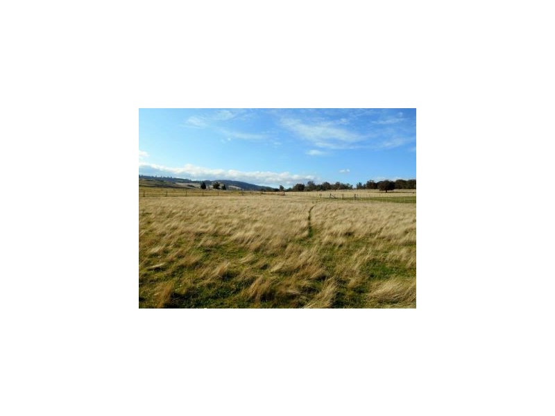 31 Colleen Crescent, Primrose Sands TAS 7173