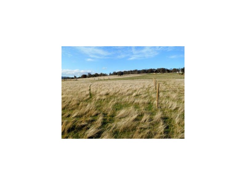 31 Colleen Crescent, Primrose Sands TAS 7173