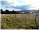 31 Colleen Crescent, Primrose Sands TAS 7173
