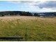 31 Colleen Crescent, Primrose Sands TAS 7173