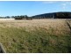 31 Colleen Crescent, Primrose Sands TAS 7173
