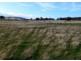 31 Colleen Crescent, Primrose Sands TAS 7173