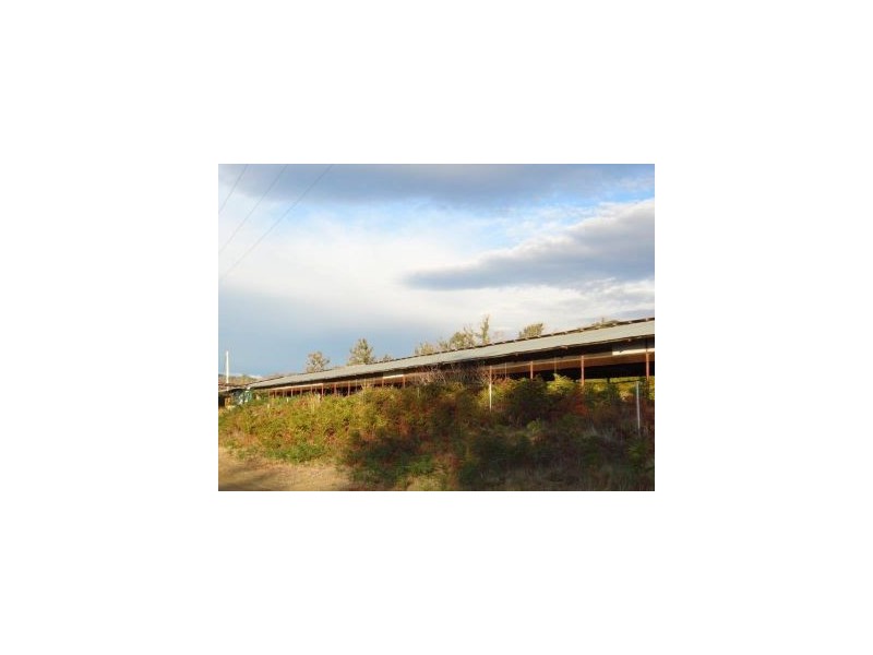 2 Duck Creek Road, Murdunna TAS 7178