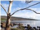 221 Old Jetty Road, Eaglehawk Neck TAS 7179