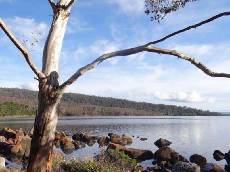 221 Old Jetty Road, Eaglehawk Neck TAS 7179