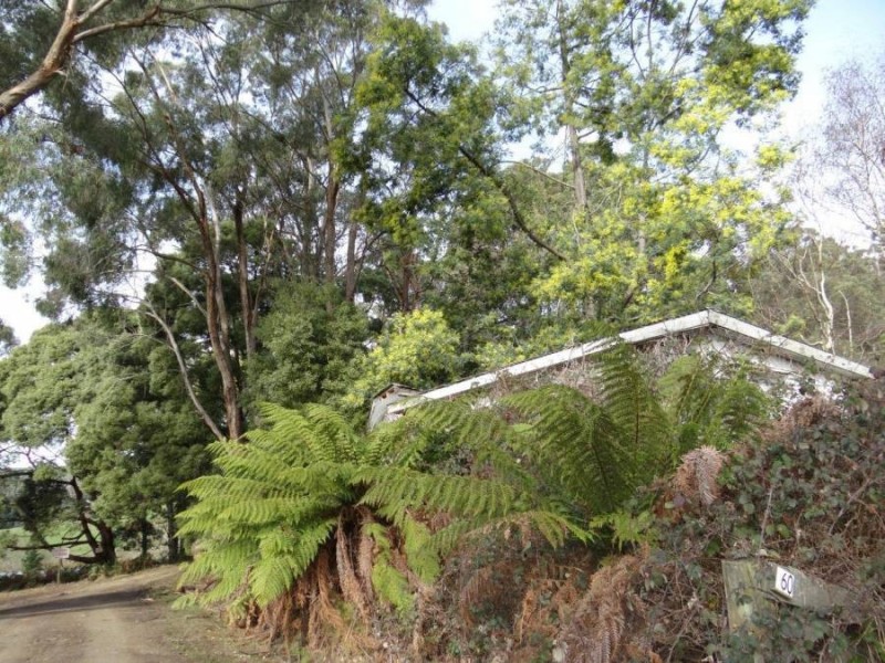 Lot 1 / 60 Heywards Road, Koonya TAS 7187