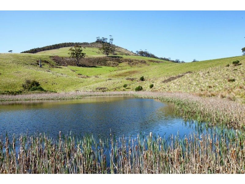 823 Bream Creek Road, Kellevie TAS 7176