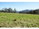 823 Bream Creek Road, Kellevie TAS 7176